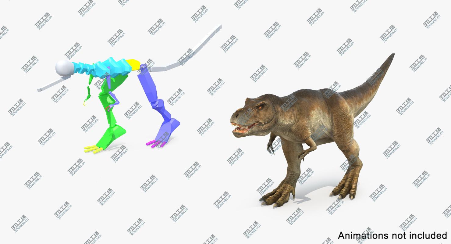 images/goods_img/2021040165/Tyrannosaurus Rex Rigged/5.jpg